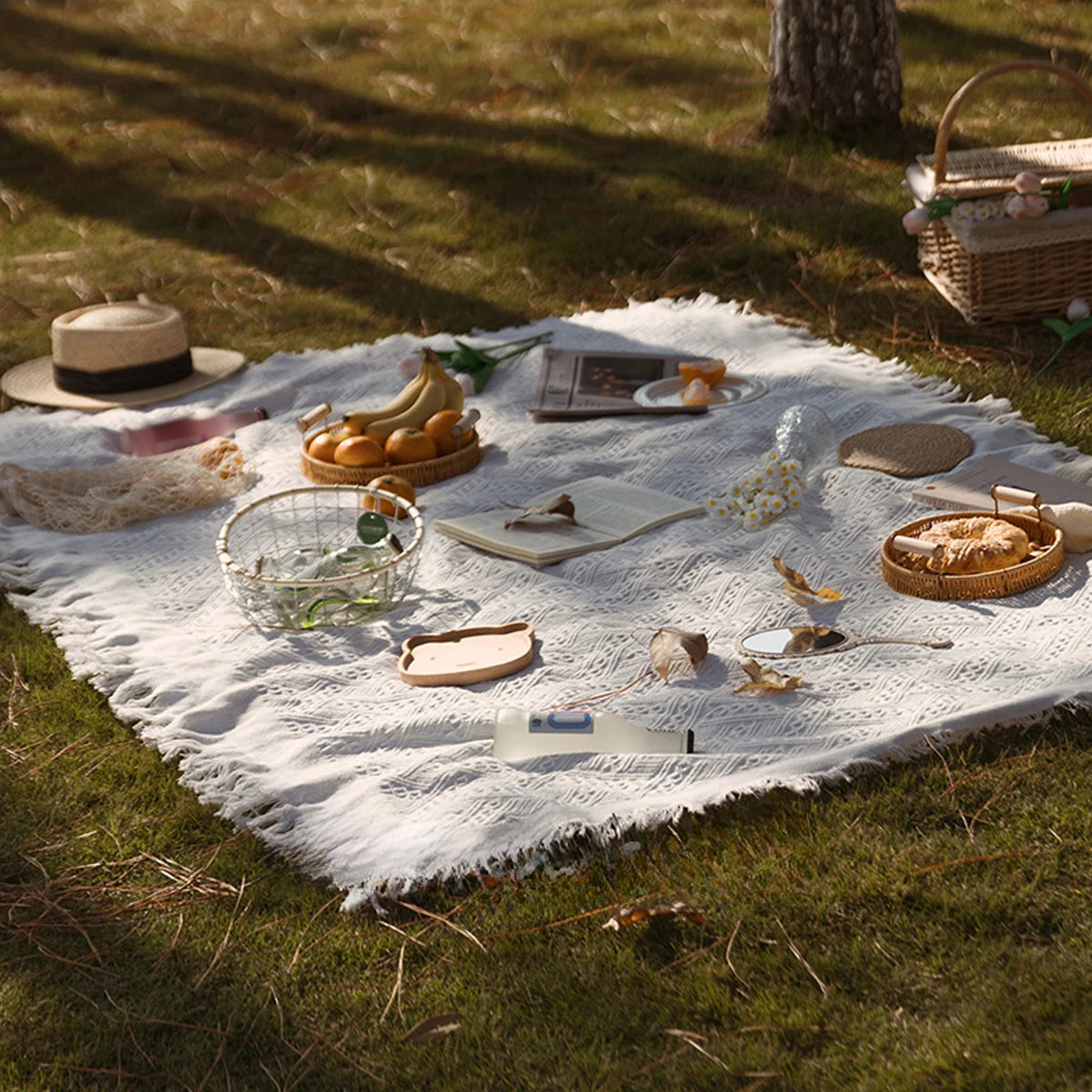 French Picnic Blanket
