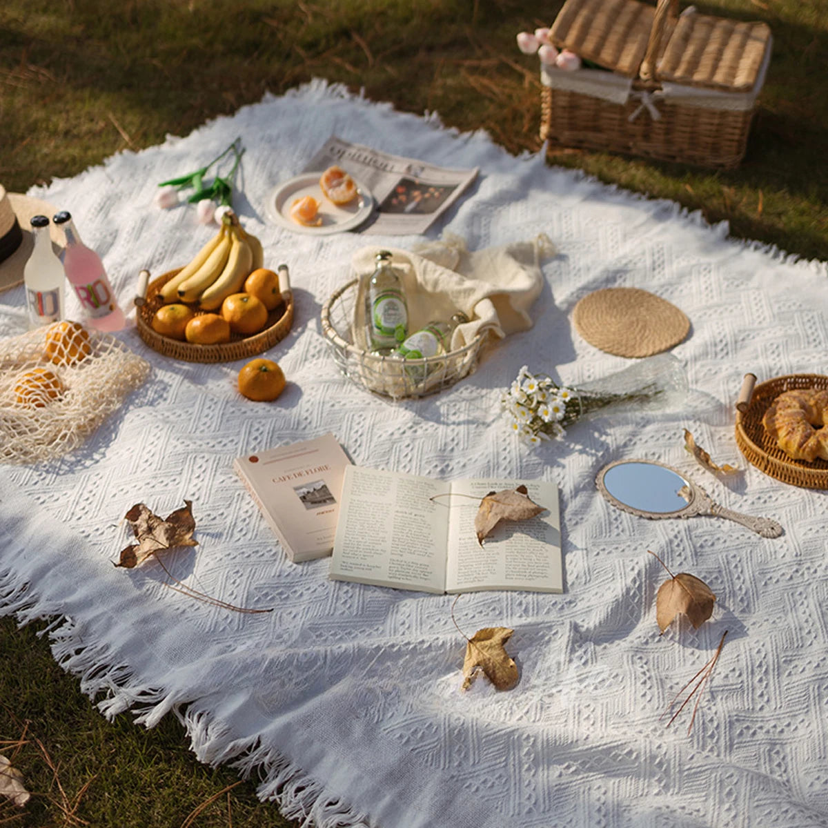 French Picnic Blanket